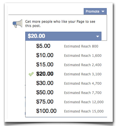 facebook promoted post - There is No Choice: Pay to Sponsor Your Posts in Social Media to Get More Exposure