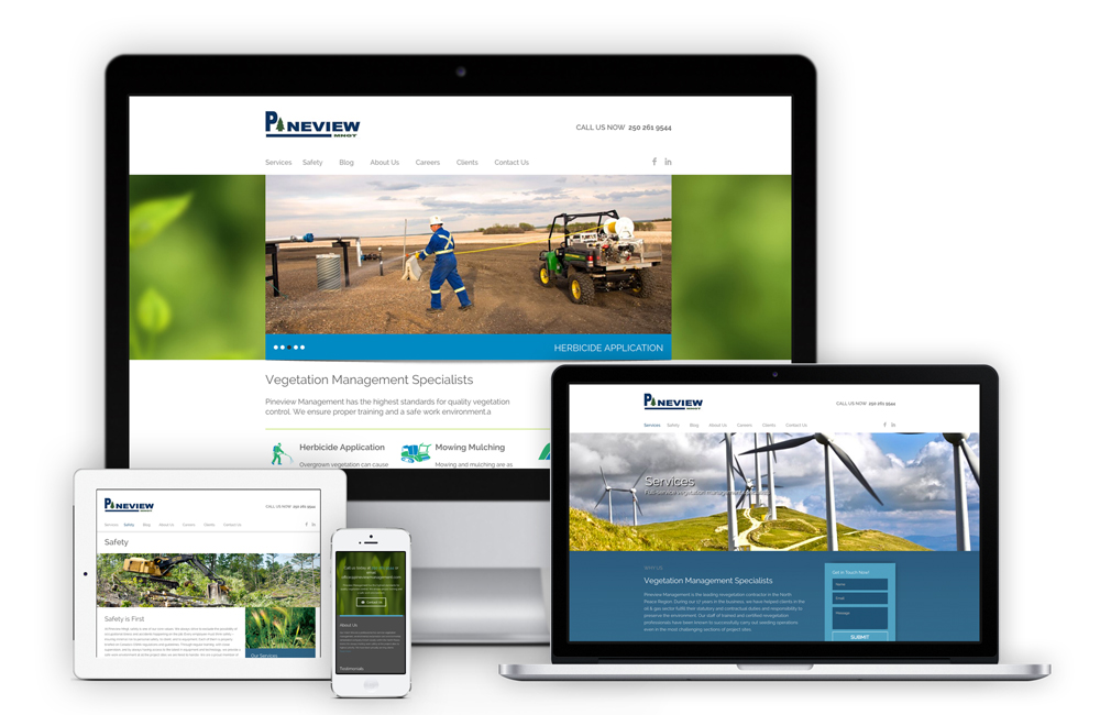Pineview Responsive Web Design Solocube 02 - Pineview Management Goes to the Next Level with a Brand New Website