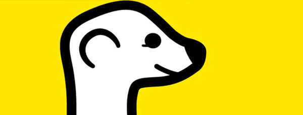 meerkat storms in the social media space with live video engagement1 600x229 - Meerkat Storms in the Social Media Space with Live Video Engagement